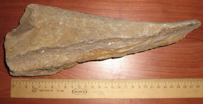 Кістка мамонта