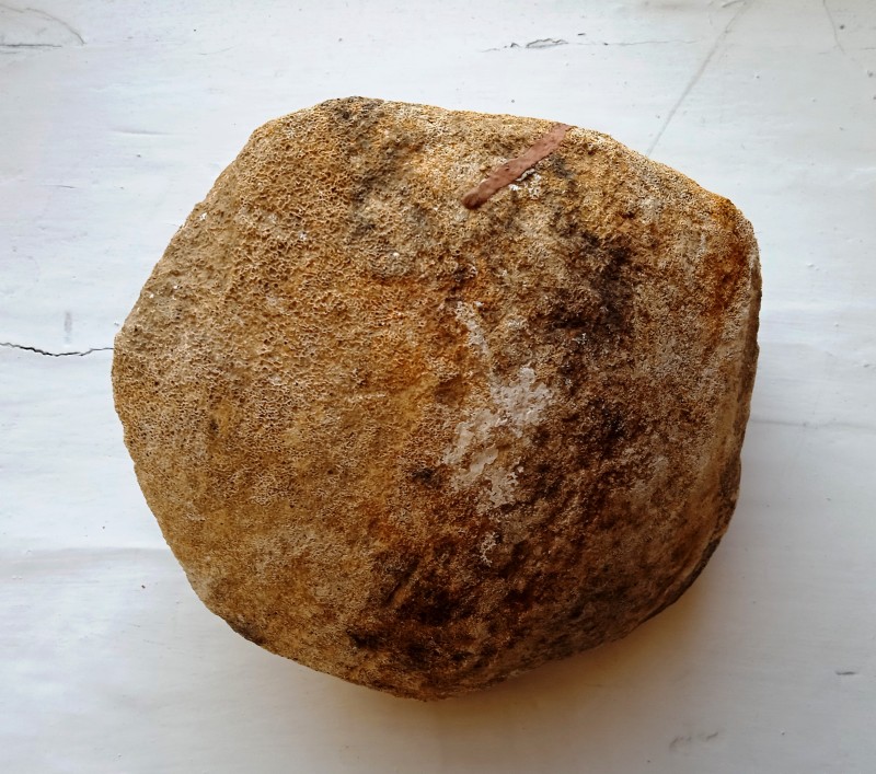 Кістка мамонта - 4