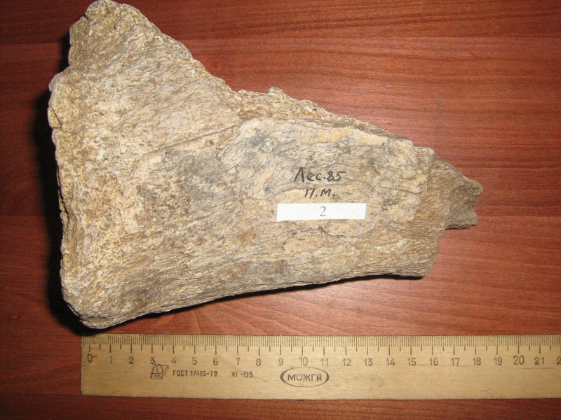 Кістка мамонта