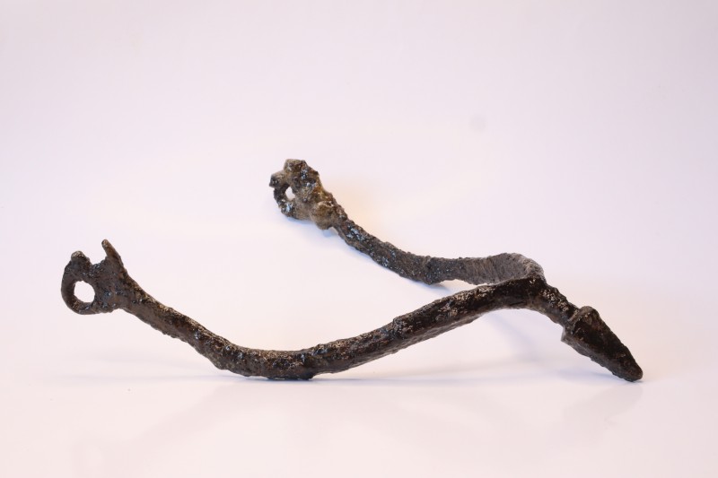 Шпора з шипом