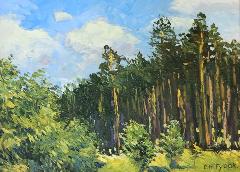 Сосни Святогір'я