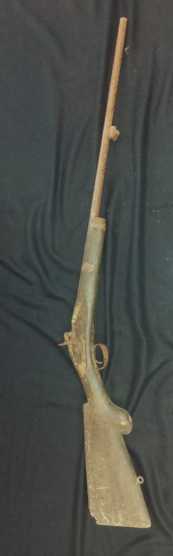 Рушниця мисливська