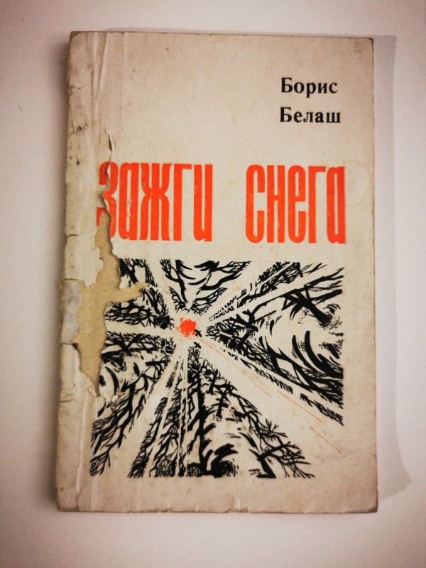 Книга "Зажги снега"