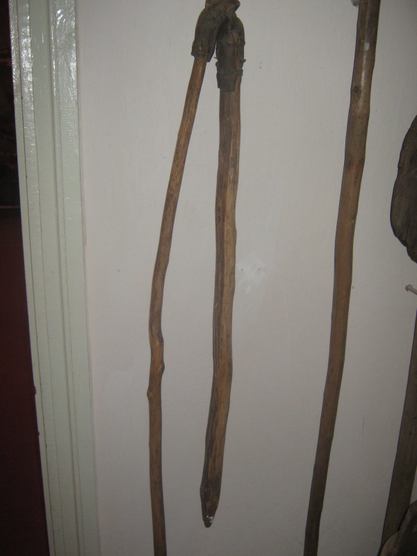 Ціп для вимолоту зернових