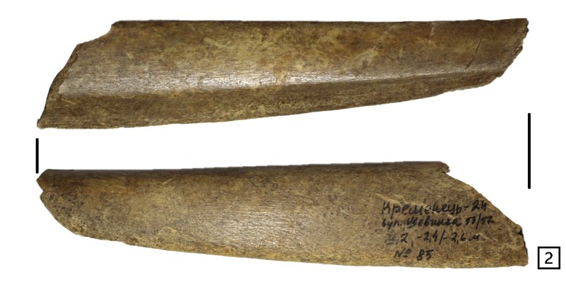 Фрагмент ребра ХVI - поч. ХVII ст.