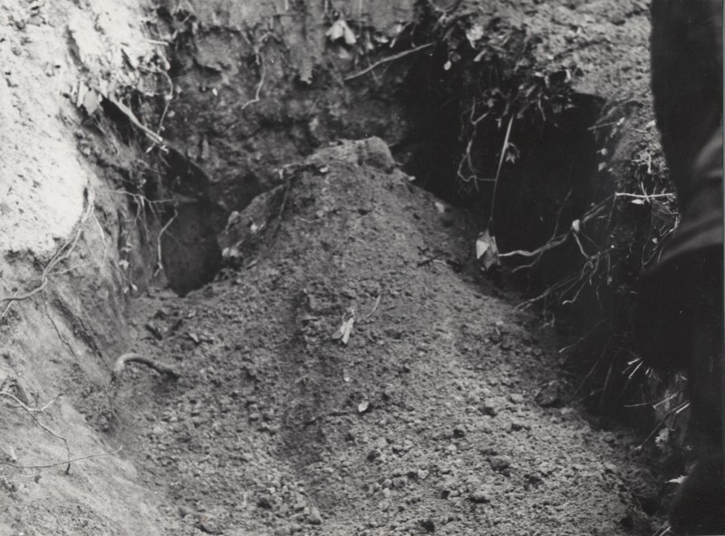 Фотографія. Похорон В. Івасюка. Труна засипана землею. Львів. 22 травня 1979 року.