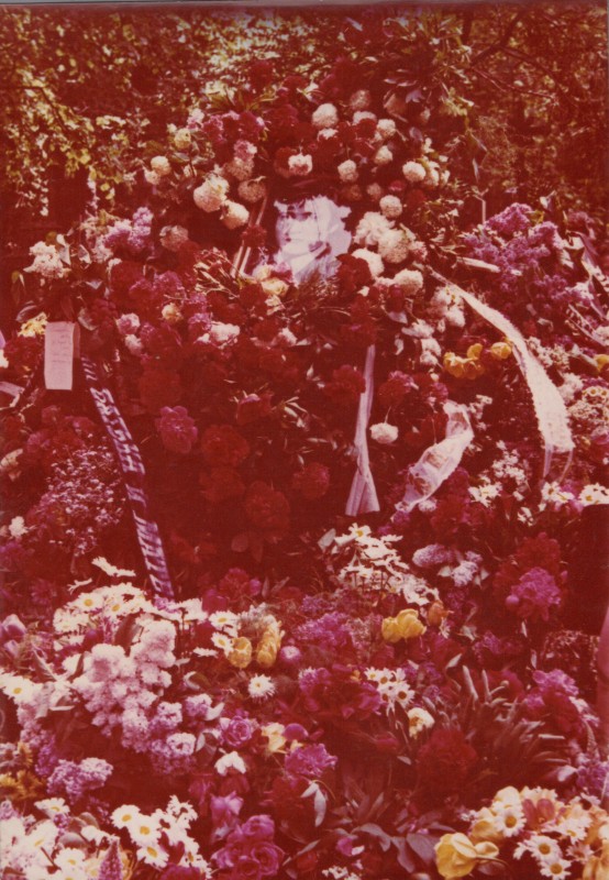 Фотографія. Похорон В. Івасюка. Могила з великою кількістю квітів, вінків. Львів. 22 травня 1979 року.