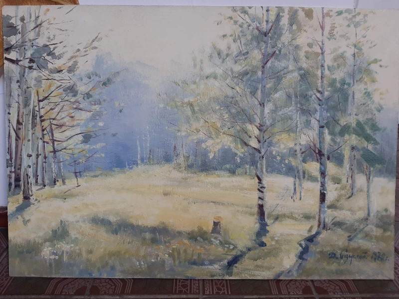 Берізки на світанку