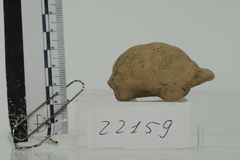 Черепаха теракотова