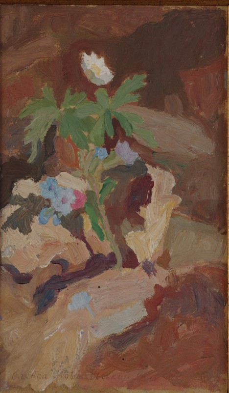 Гірські квіти