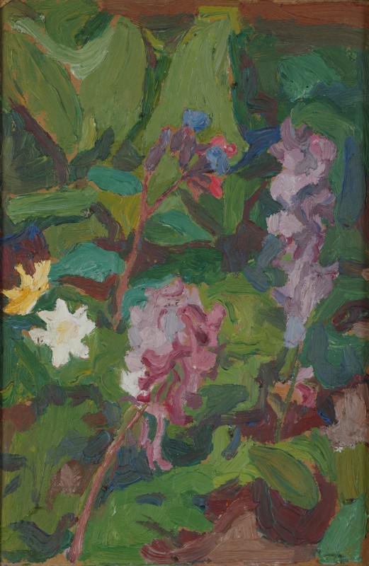 Лугові квіти