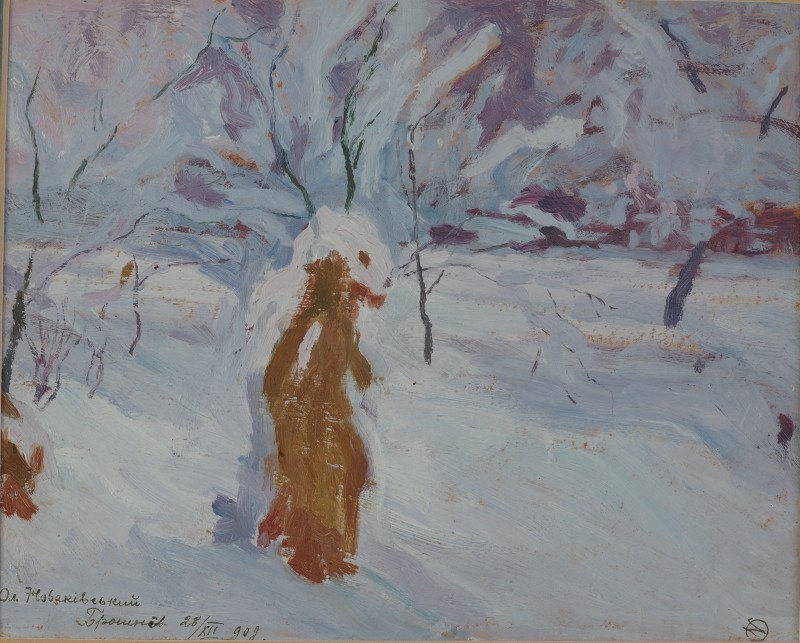 Зимовий пейзаж. Брошнів.