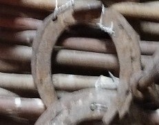 Підкова кінська. ХХст.