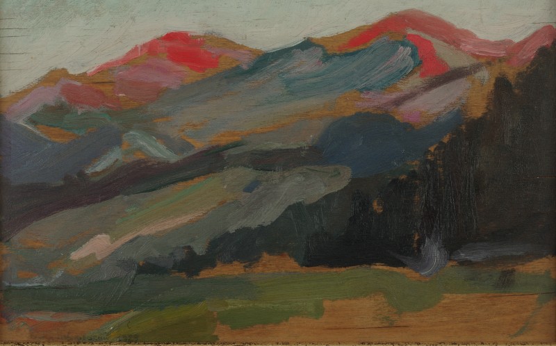 Гори. Зелем'янка