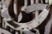 Підкова кінська. ХХст.