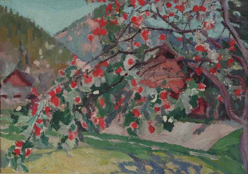 Сад. Зелем'янка.