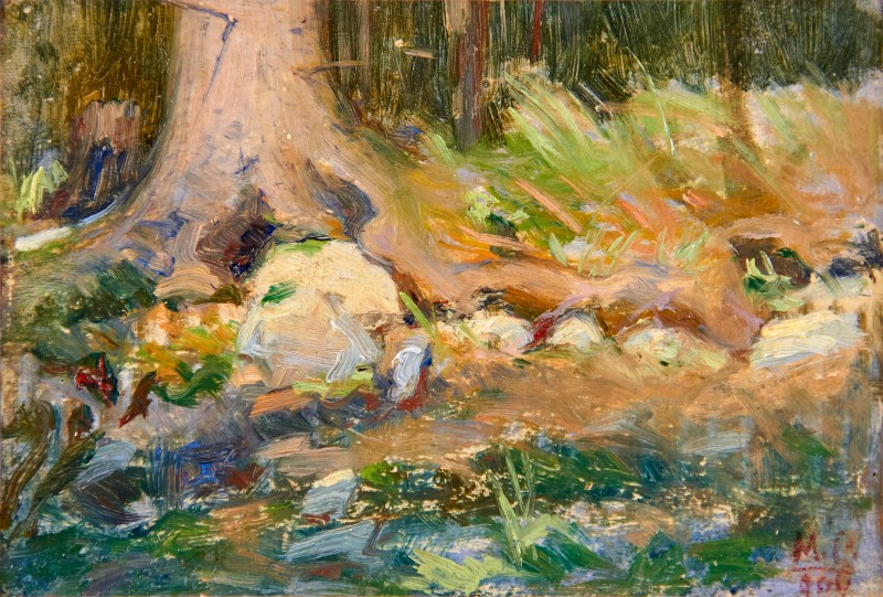 Низький ліс