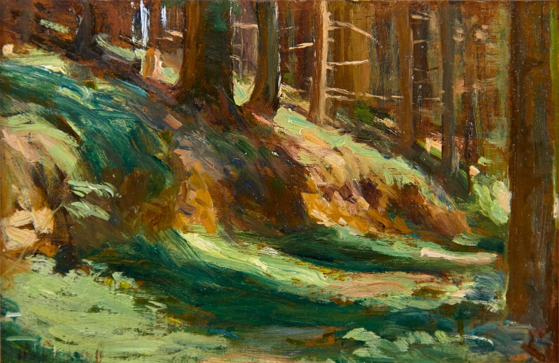 Низький ліс у горах