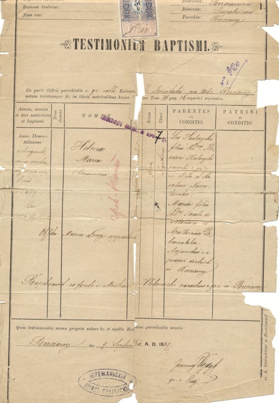 Свідоцтво про народження Олени Марії Кульчицької (Бережани)