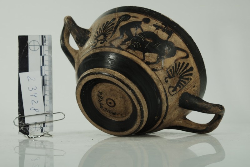 Кілік чорнолаковий