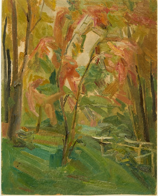 Фрагмент саду