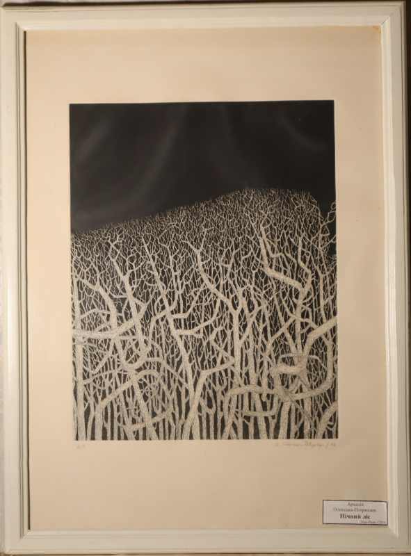 Графічний твір "Нічний ліс"