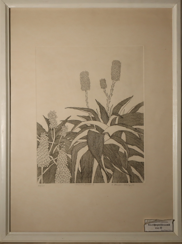 Графічний твір "Каліфорнійський сад"