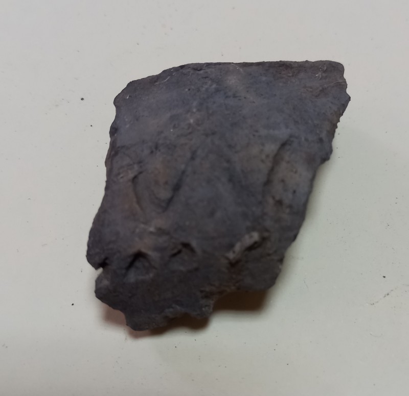 Вінце покришки