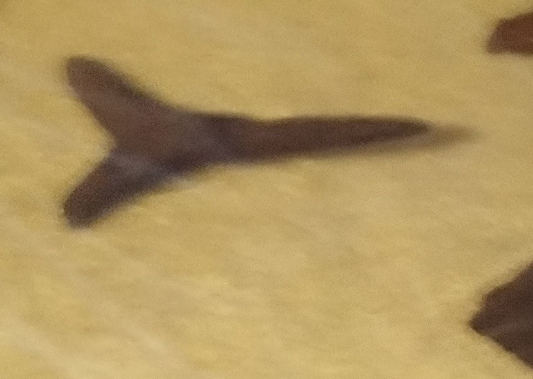 Наконечник арбалетної стріли. Київська Русь.