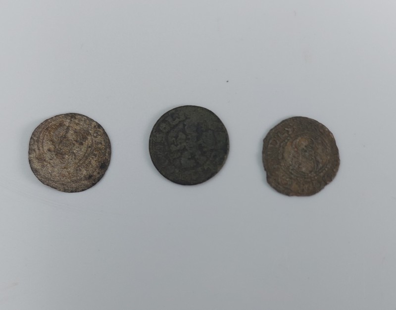 Монети Польсько-Литовського князівства