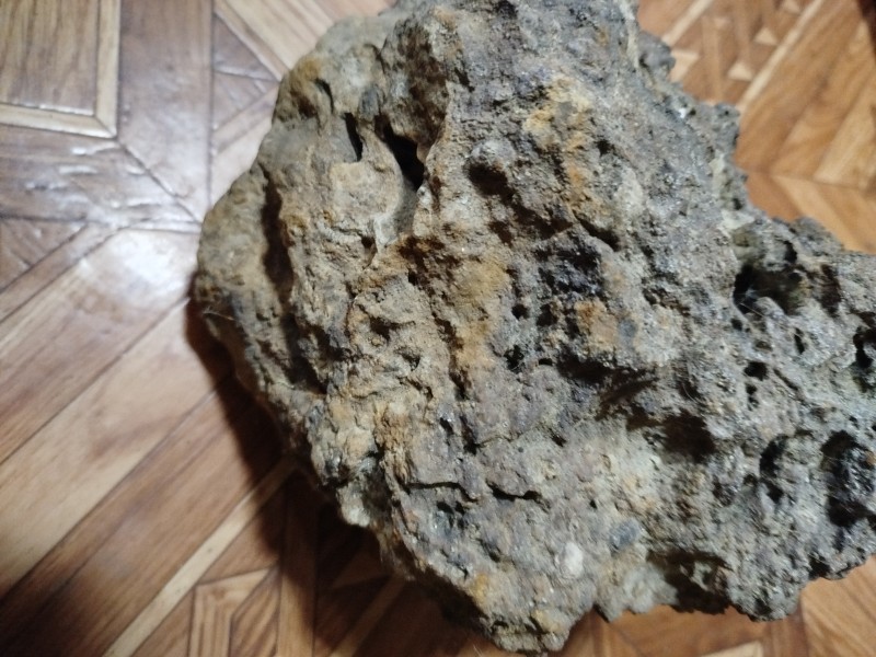 Болотна залізна  руда