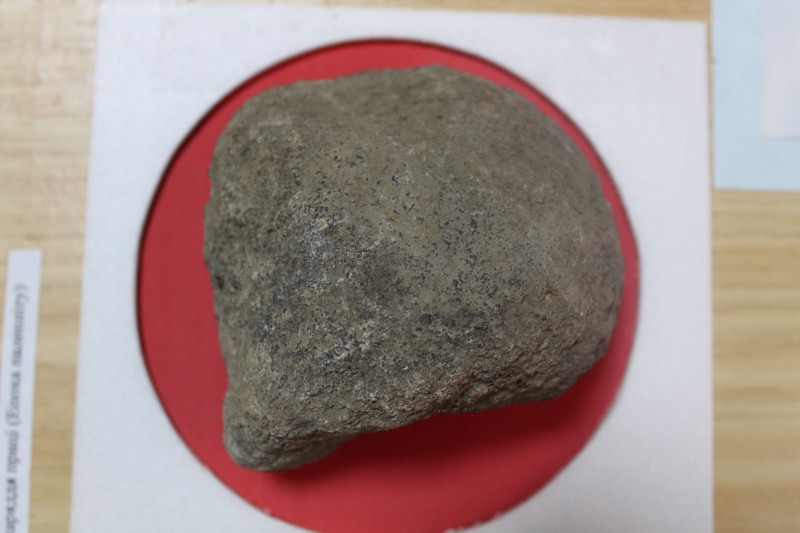 Кам'яна зернотерка часів неоліту.