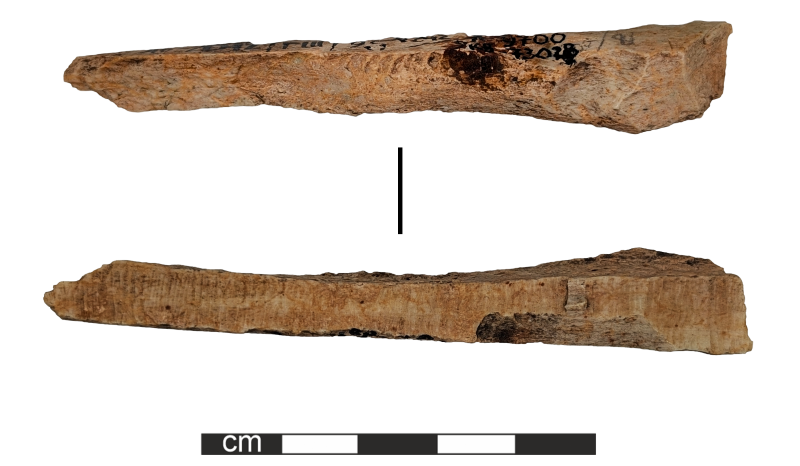 Виріб з кістки