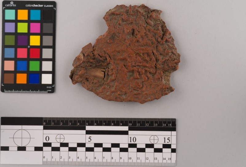 Фарбуюча речовина