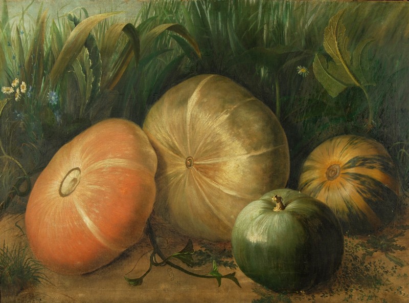 Гарбузи, 1880