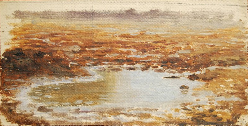 Калюжа, 1910-і