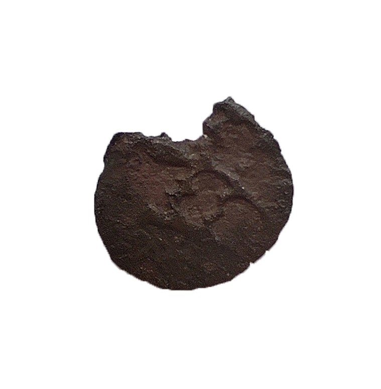 Монета денар