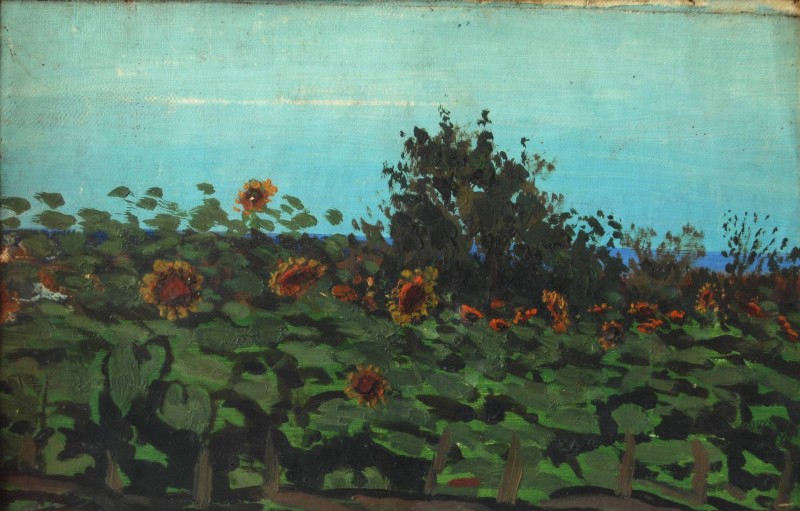 Соняхи, 1890-і