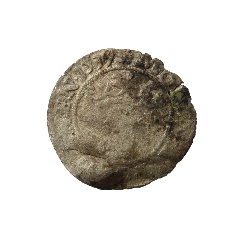 Монета шеляг, 1539 р.