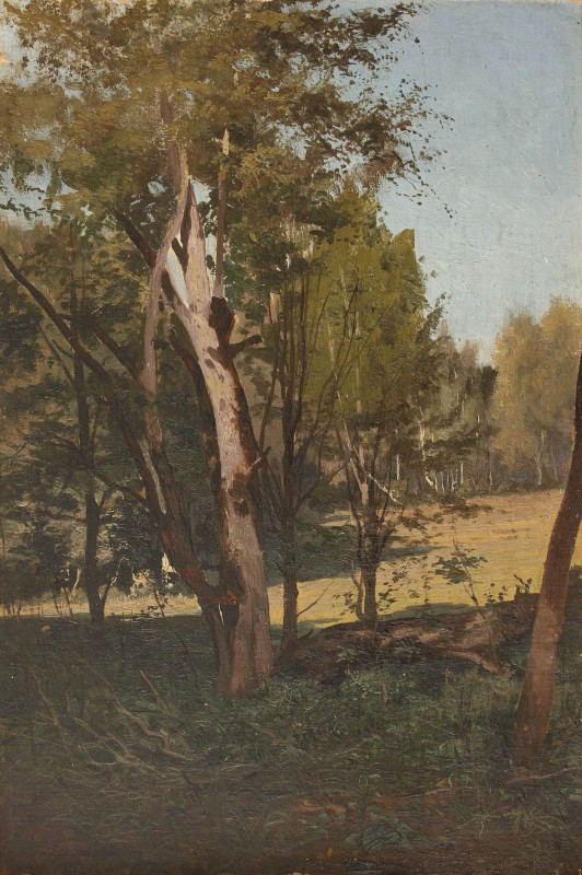 Село біля Козачої гори. кін. XIX – поч. XX ст.