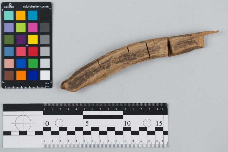 Дерево оброблене