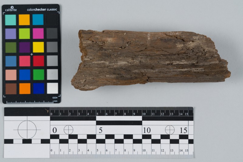 Дерево оброблене