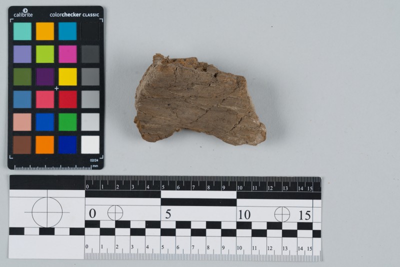 Дерево оброблене