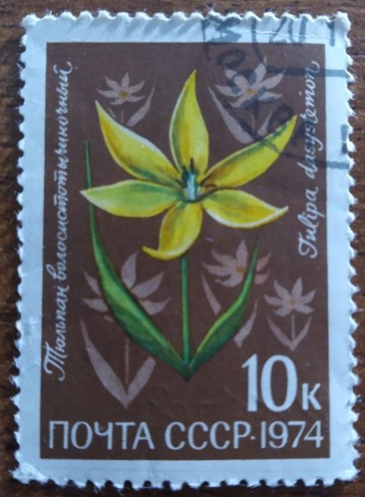 Марка поштова