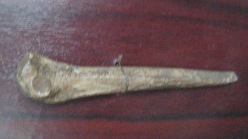 Голка кістяна