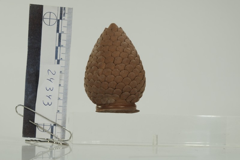 Посудина у вигляді шишки