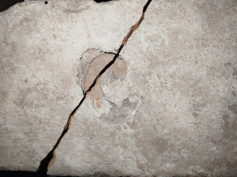 Цеглина з клеймом "С". ХІХст.