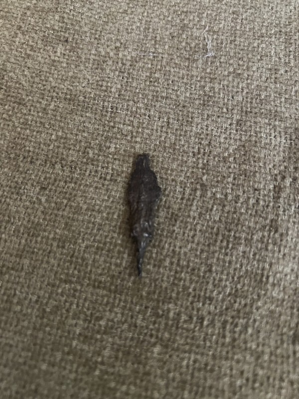 Вістря стріли