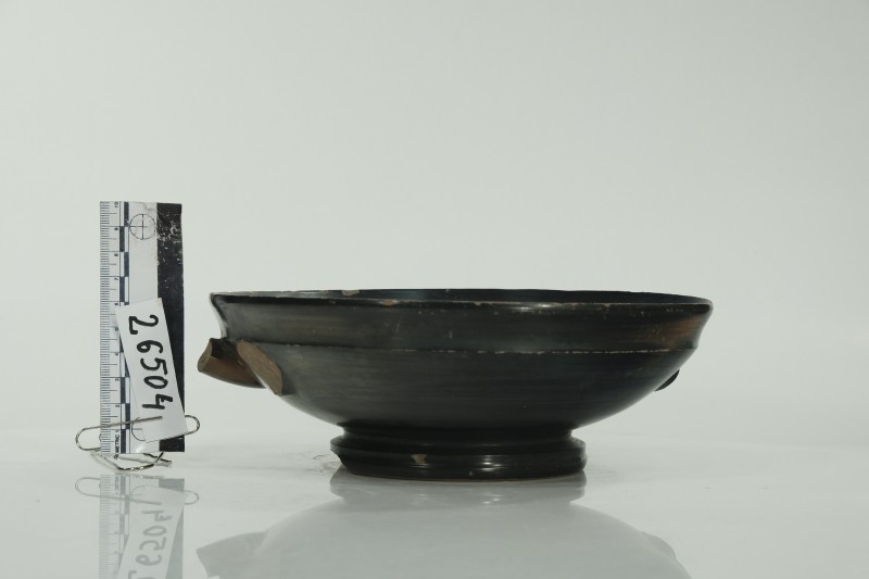 Кілік чорнолаковий