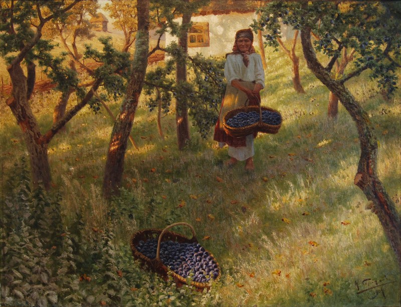 Збір слив у старому саду, 1904